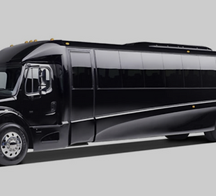 Executive Coach 36